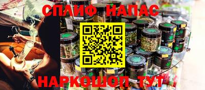 гашик Краснодар