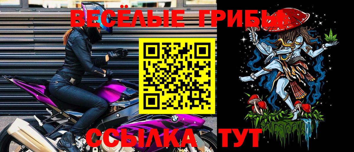 Псилоцибиновые грибы Cubensis Грязи